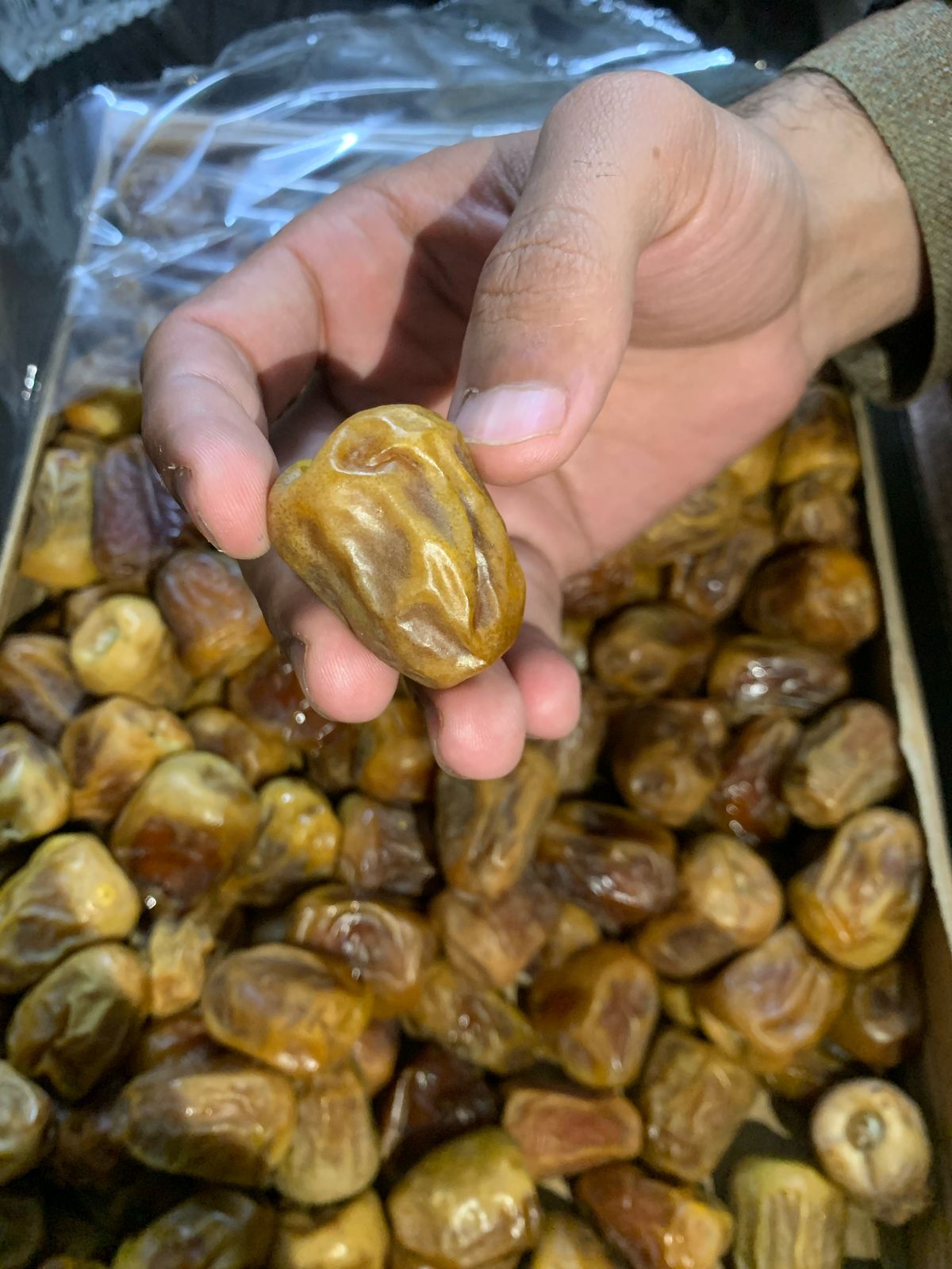 Sukkari Dates (Saudi Khajoor) 🌿✨